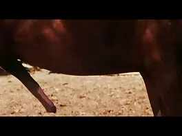 Redhead cô gái tinh ranh coi phim sex của lào thú vui cô ấy chồng trong POV