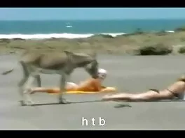 Slutty cô gái đang chết sex của lào tiệt vì tiền